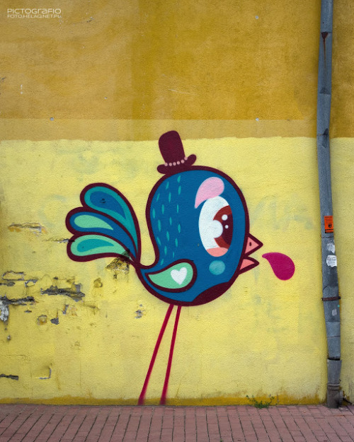 Blue bird on the wall Sweet painting on the wall in Kliny district of Krakow, Poland.Design &amp