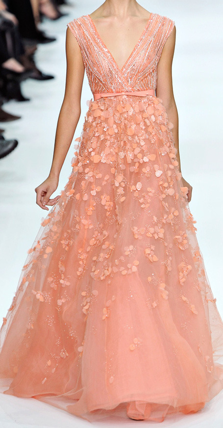  Collection by Elie Saab       