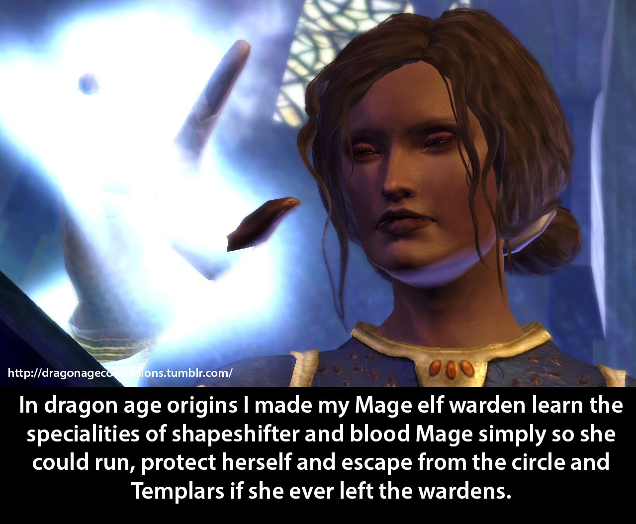 dragon age origins shapeshifter