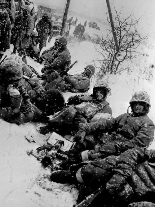 mostlyjudson:r3druger:greasegunburgers:On this day in 1950, Marines from the 1st Marine Division beg