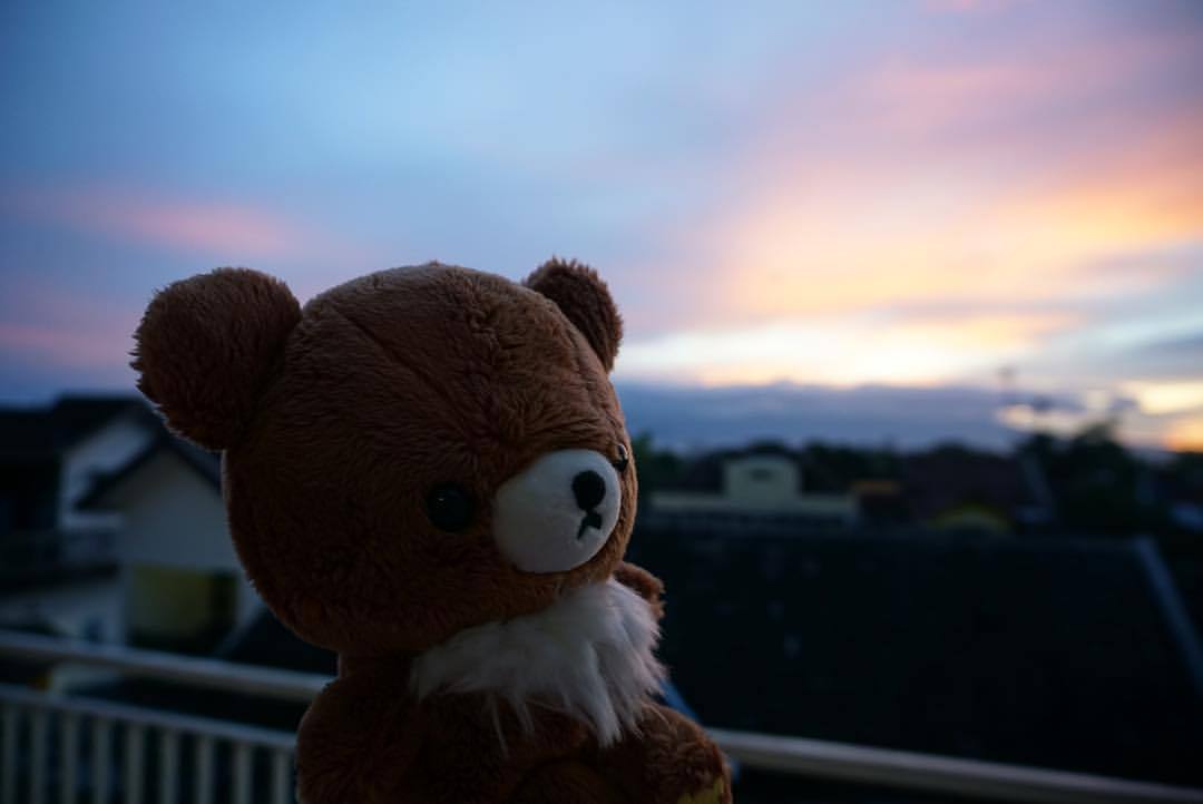 A Piles Of Cuddly Things And A Lil Bit Life Grateful To Wake Up To Beautiful Sunrise This