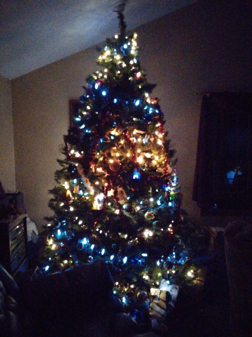 （写真の質が悪いね。ごめん。）(⌣_⌣”) これは両親の家のクリスマスツリーだ。縦は3メートルぐらいし、装飾は ツリーから 略３００個を吊るしてる。チャラすぎるかな？とにかく、家の伝統ですので、毎年こ