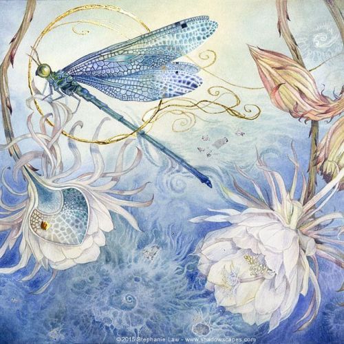 shadowscapes-stephlaw:“Descension”Prints here: http://ift.tt/1QSTp5s#watercolor #dragonfly #damselfl