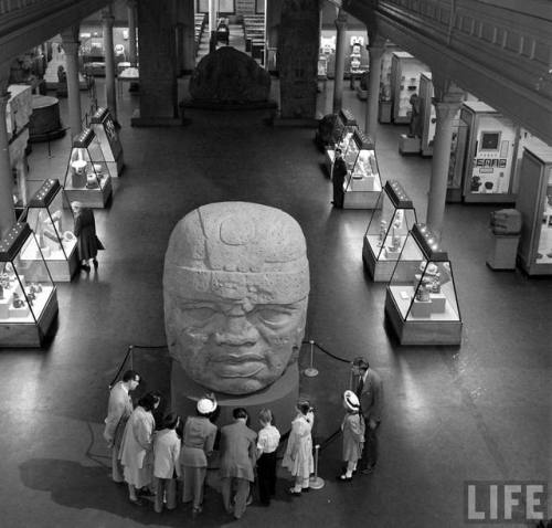 American Museum of Natural History(Nina Leen. 1950)