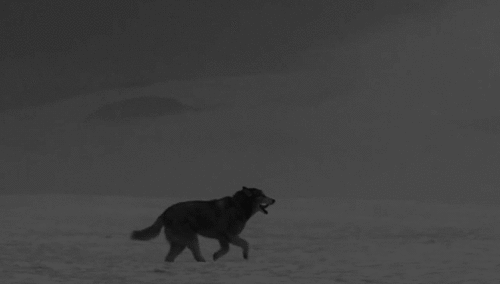 alientechnology00:beyond—darkness:The truth is out there…