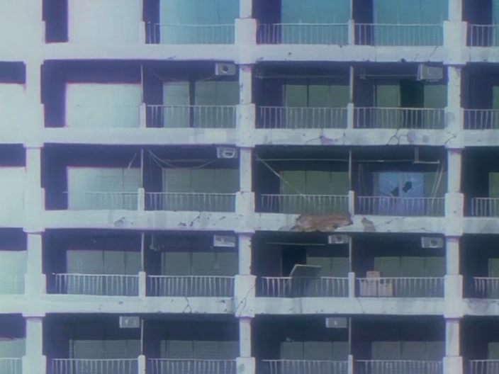 Neon Genesis Evangelion