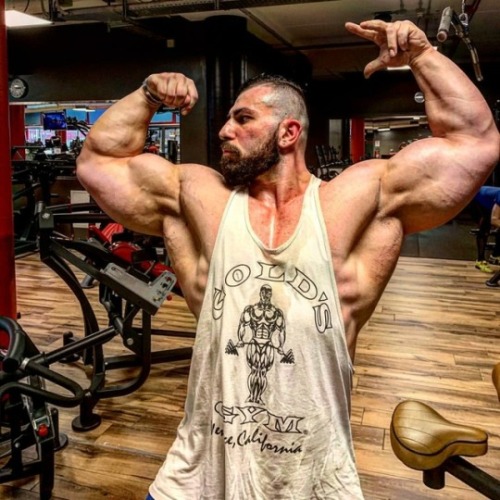 worshipalphamales:daddiesbearsandmuscles: Andrea Muzi  FUCK. ME.SWOON.