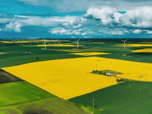 Yellow Fields #Kaunas county #Lithuania #Lietuva #dronas #skypixel #djieurope #Mavic3 #djimavic3 #re