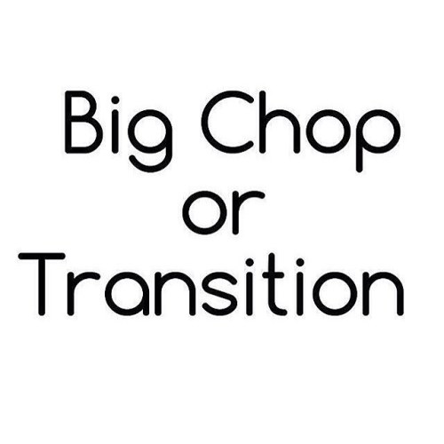 What’s ur story? #2frochicks #bigchop #transition #gonatural #natural #healthyhair