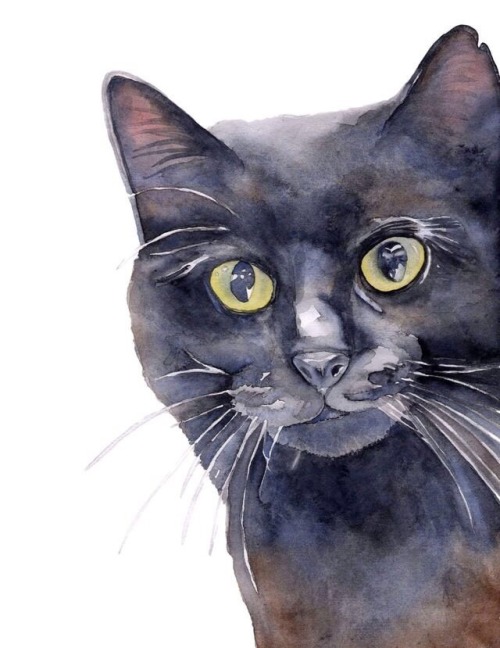 Happy Caturday! Cat Portraits By Kate Boyington www.etsy.com/KateBoyingtonArt