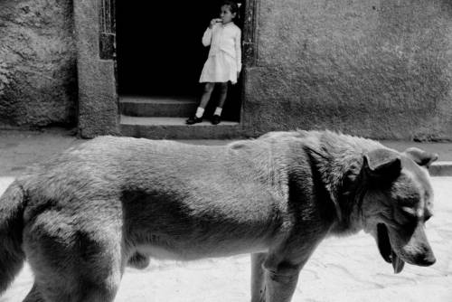 Sergio Larrain Nudes &Amp;Amp; Noises  