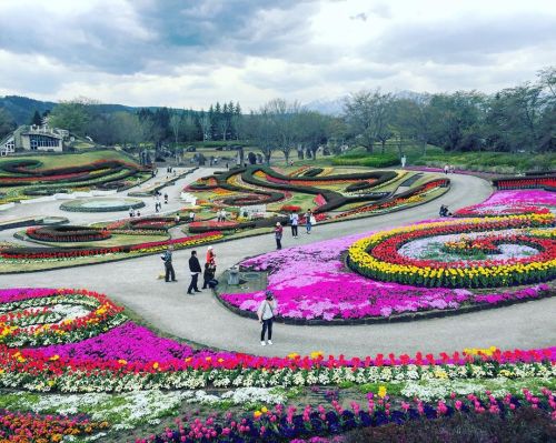 ⛳️1674. 国営みちのく杜の湖畔公園 Michinoku Park, Kawasaki-town, Miyagi 毎年この時期になると東北のことを考えます。 ボランティアには参加しませんでしたが、