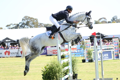 He was using such soft hands in this show jump round!