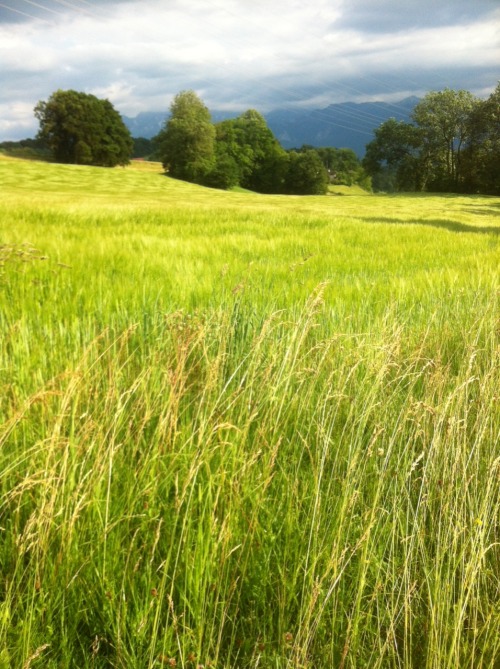 and-the-blackhearts:  Switzerland is clearly an amazing country 