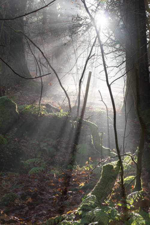 stephenearp: New day, new year. Have a happy one.