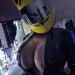 lexxnova:Fye