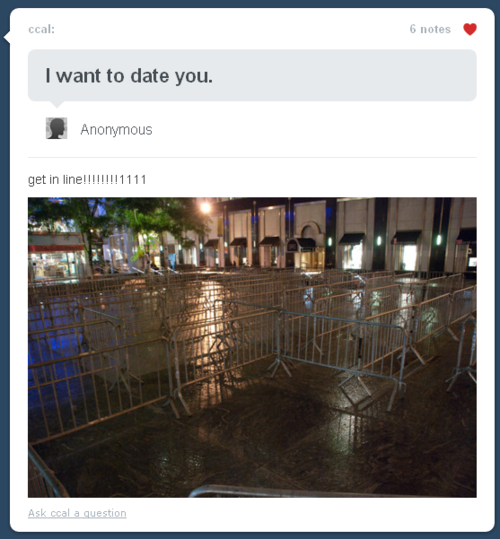 Hilarious Tumblr Comment Replies