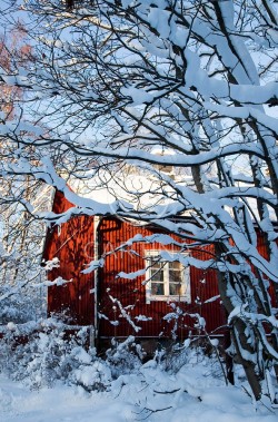 forintelse:  Red house by Jaakko Vähämäki 