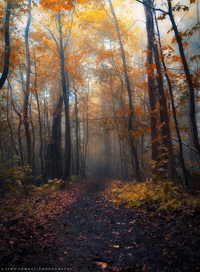 first days of autumn by Timo Tomkel - Meena's Tirith