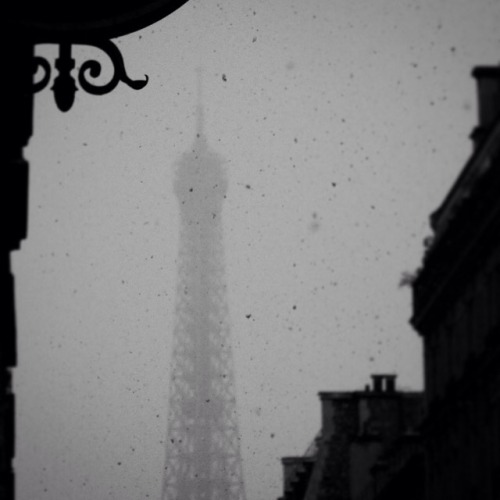 Views of the Eiffel Tower | Suzanne Lynch