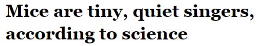 legendofrii:eternal-overdad:athena-genevieve:salon:  Male mice sing ultrasonic love songs to woo mates according to a new study published Wednesday in the journal Frontiers of Behavioral Neuroscience. In fact, the mice perform long, complex strings of