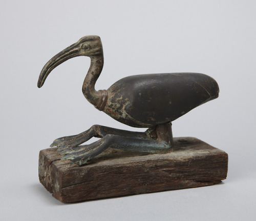 theancientwayoflife: ~ Ibis. Date: 664–525 B.C. Period: Late Period , 26th Dynasty Medium: Bro