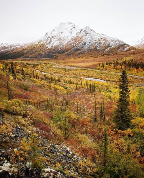 travelyukon:  Winter is coming!!! Who’s as excited as we are? Photo taken in Yukon by @mikewwalton  