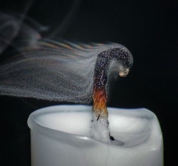 imabookworm31:  sixpenceee:  A picture demonstrating how smoke is particulate matter suspended in air.  Coolest thing I’ve seen all day 