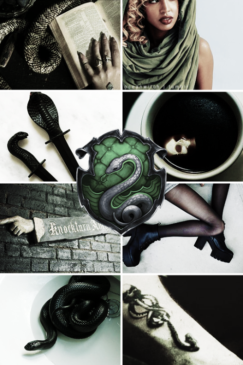 oceanwitch:     HOGWARTS HOUSES ✯ SLYTHERINOr perhaps in Slytherin You’ll make your real friends, Th