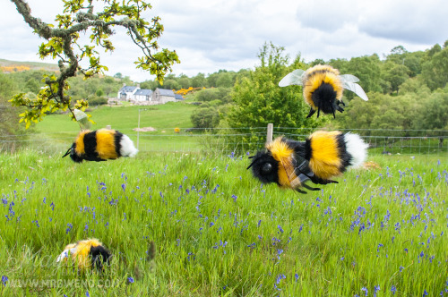 sanageyamaa: babytarantula: magweno: GIANT PET BEES NOW AVAILABLE!www.etsy.com/uk/listing/23