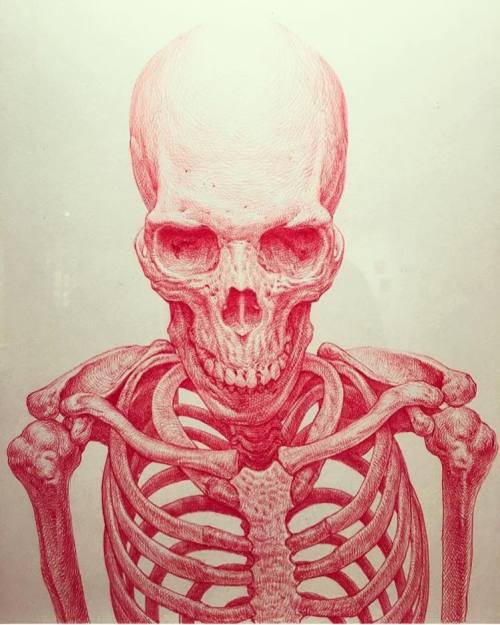 rhubarbes: work by @gunopark via Illustrated MonthlyMore skulls here.