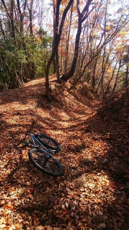krs955: trail work and trail ride.