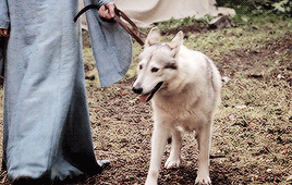 I Am Not Your Daughter, She Thought. I Am Sansa Stark, Lord Eddards Daughter And Lady Catelyns, The Blood