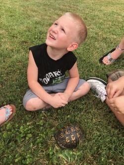 Lil Vince and the box turtle him and Kaylea