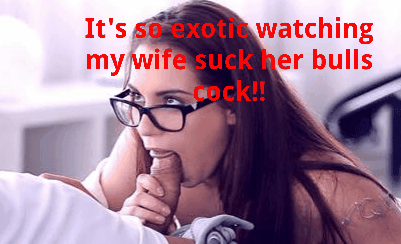 My Hotwife