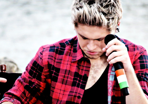 tommosloueh:1D Orlando → Louis plucks out one of Niall’s chest hair.