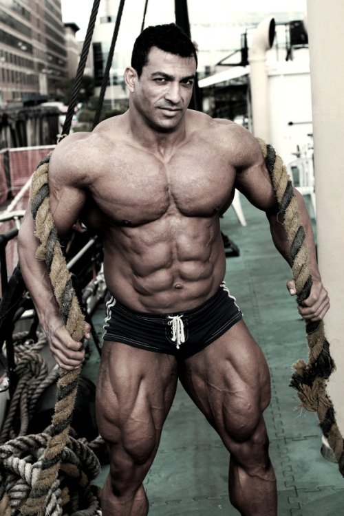 the-swole-strip:  tarek elsetouhi http://the-swole-strip.tumblr.com/  One very handsome, muscular, sexy looking man  Put together just right.