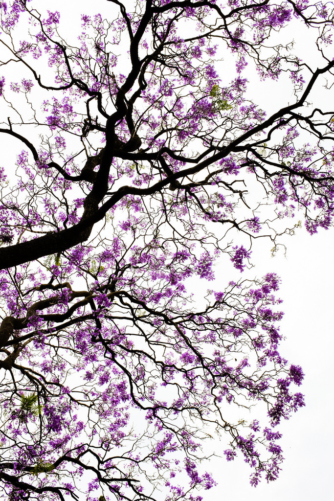 panatmansam:  jamas-rendirse:  by mrbrianchu.