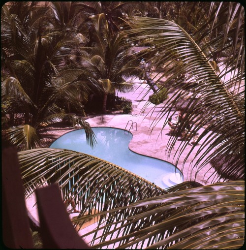 twoseparatecoursesmeet: Pool at the King Kamehameha Hotel, 1960s Doris Thomas