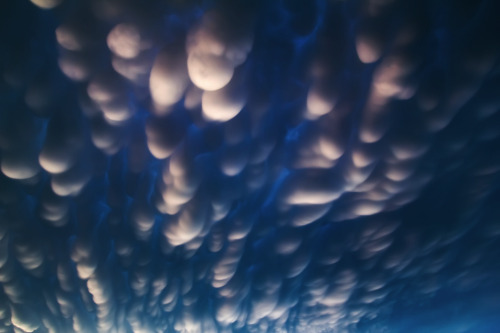 awkwardsituationist:  mammatus clouds, named for their resemblance to the mammary gland, form when air laden with big water droplets is carried to the top of a thunderstorm cloud whose altitude is cold enough to freeze the water droplets. the resulting