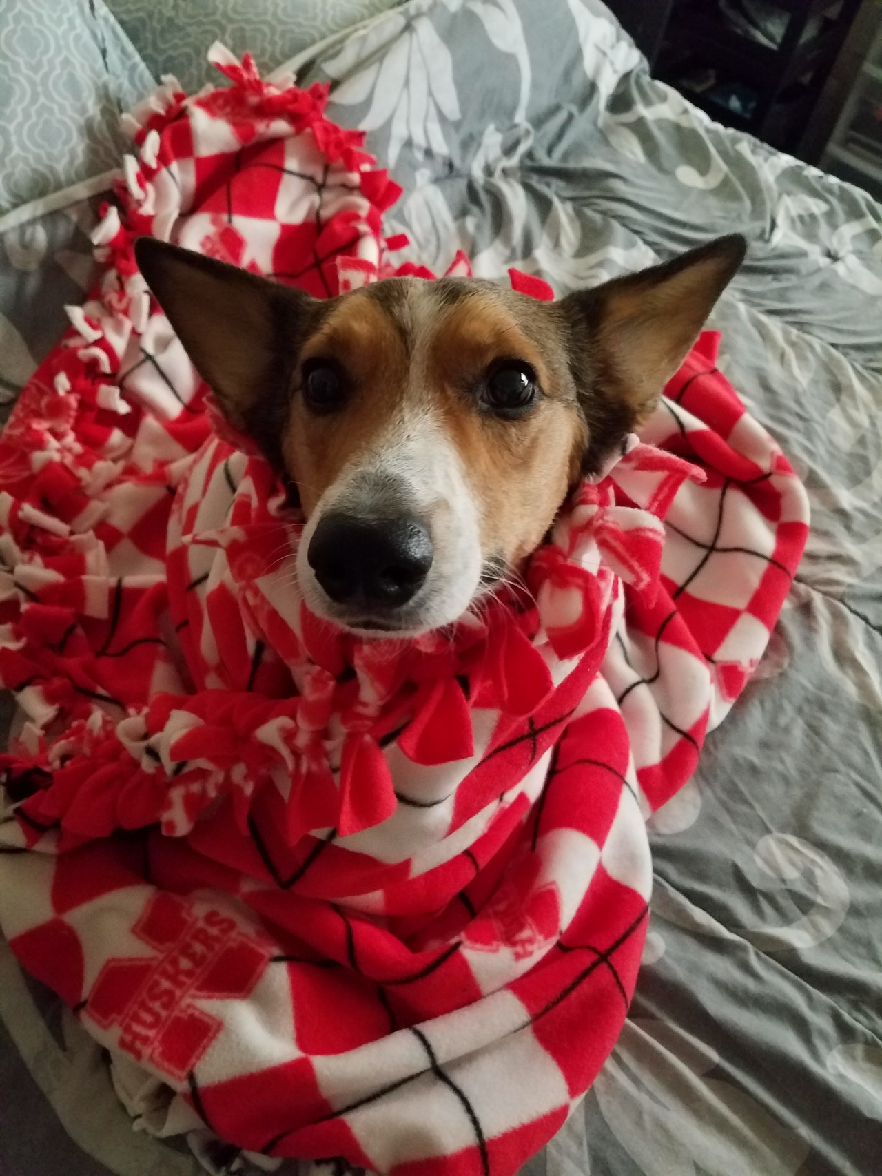 baronvonwaffles:This blanket is Bacon approved!