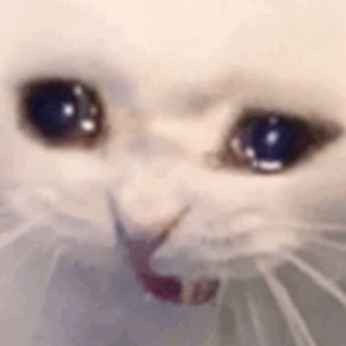 OMG OMG OMFG FUCK FUCKFCUKFUCKFUCKDUCKDUCKDUDKC
