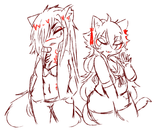 sailorpalinstrashcan:  cats all over twitterthe first one is a modern au where bejaku runs a biker gang and shiroba has the hots for the leader and shows up to every fight to cheer her on