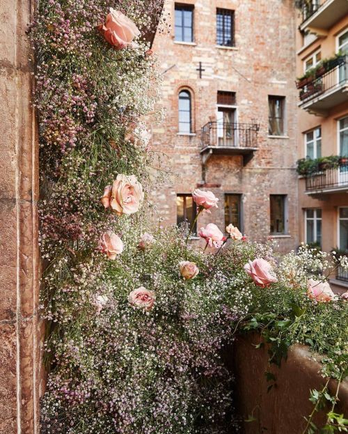 alisaineurope:Juliet’s House (Casa di Giulietta), Verona, Italy