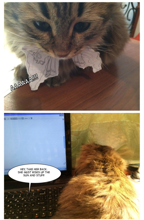 fluttershyponders:  davodinfo:  askmushroom:  Воскресный IRL комикс. Celestia vs the kot.  oh sun goddess this made my day  *polite snicker*  OMG this is terriffic XD