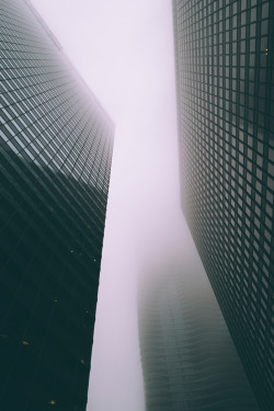 Foggy | Photographer © | IG | AOI