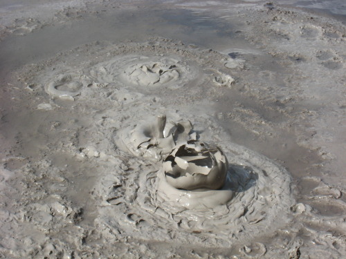 BurstThis photograph perfectly captured the exact moment that a vapor bubble burst in one of the mud