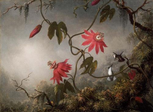 Martin Johnson Heade (American, 1819-1904, b. Lumberville, PA, USA) - Passion Flowers and Hummingbir
