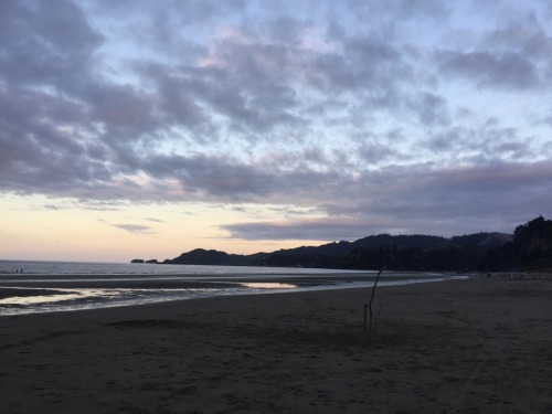 fourtys:  Golden Bay, New Zealand  07/01/15 | 8:46pm