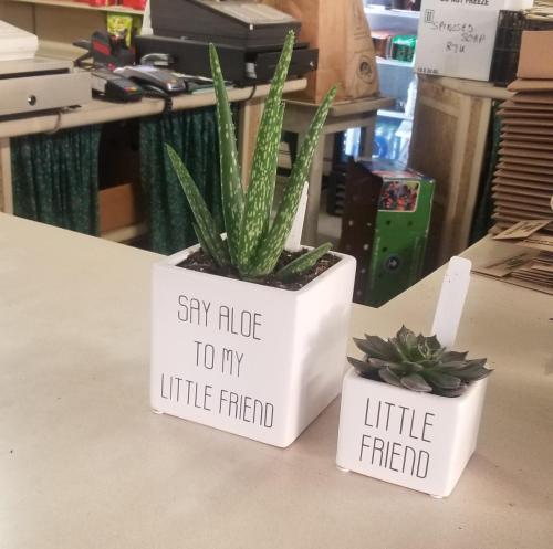 jadeandquartzes:13lizardsinatrenchcoat:hitmewithcute:This is for the people who find small plants ad